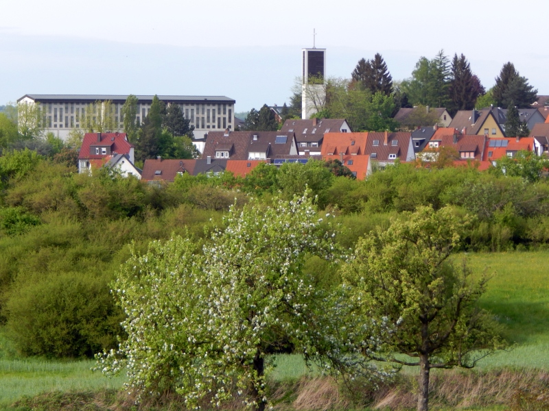 Blick von Süden auf die Kirche St. Gertrud