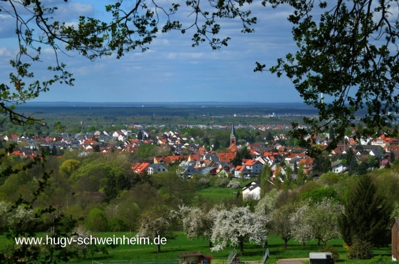 Schweinheim Blick (3)