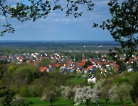 Schweinheim Blick (3)