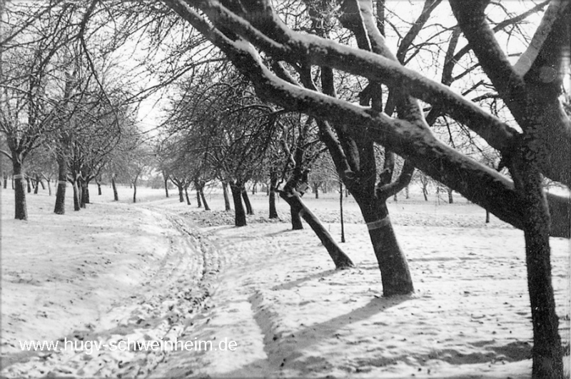 Grubenweg Winterlandschaft