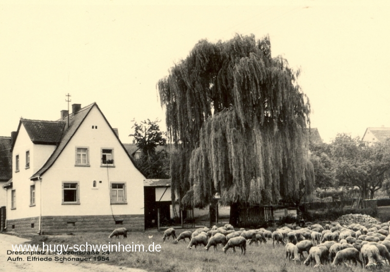 Liebezeitstr 24 Dreschplatz 1954