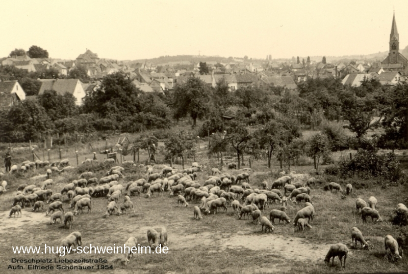 Liebezeitstr Dreschplatz 1954 gegenüber