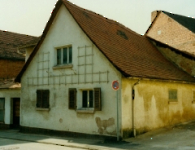 Rosenstr 1989 3