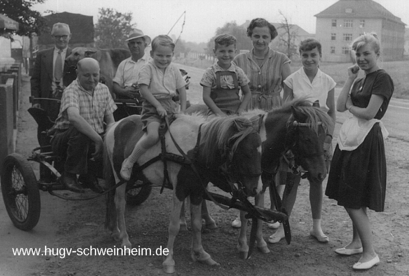 Touristenheim Adam Wehr Würzburger Str Aulbach Ponys