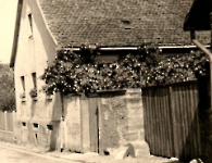 Sodener Str 2 Appelmann Nikolaus