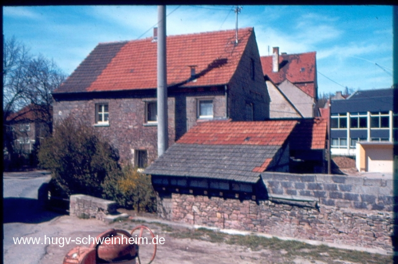 Pfeifer Gärtnerei Bahmergasse (2)