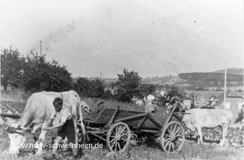 Bauern auf Feld