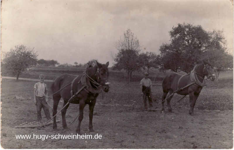 Brunner Valentin Unterhainstr beim Eggen