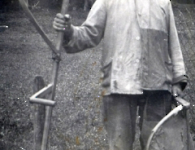 Brunner mit Reff