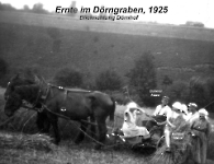 Elterhof Bahmer Ernte im Dörngraben 1925