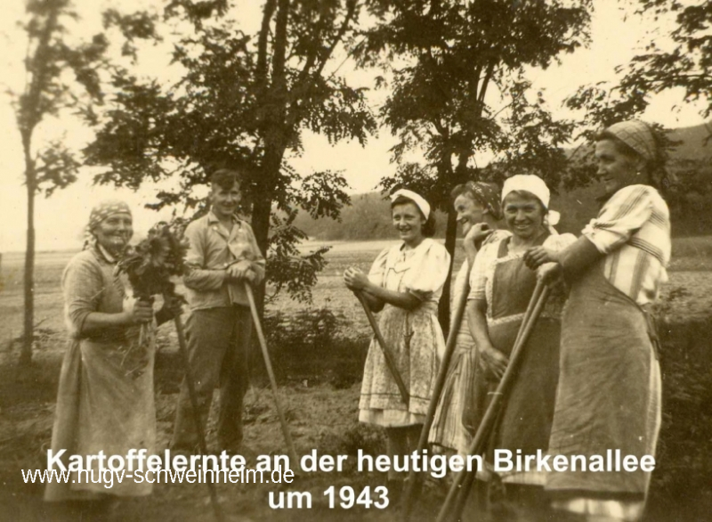 Kartoffelernte 1943