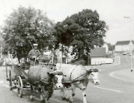 Kuhbauer Landwirtschaft