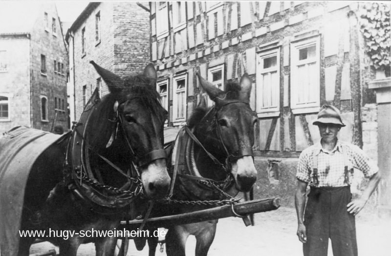 Rücker Seebornstr mit Eselfuhrwerk 348