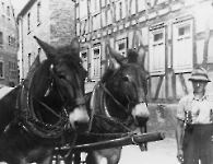 Rücker Seebornstr mit Eselfuhrwerk 348