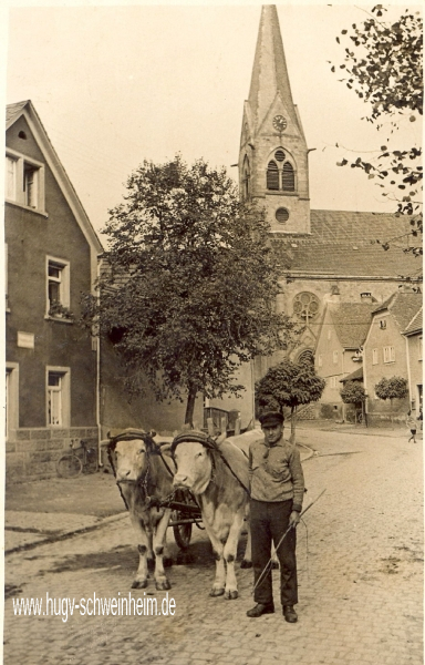 Sauer Nikolaus aus der Althohlstr