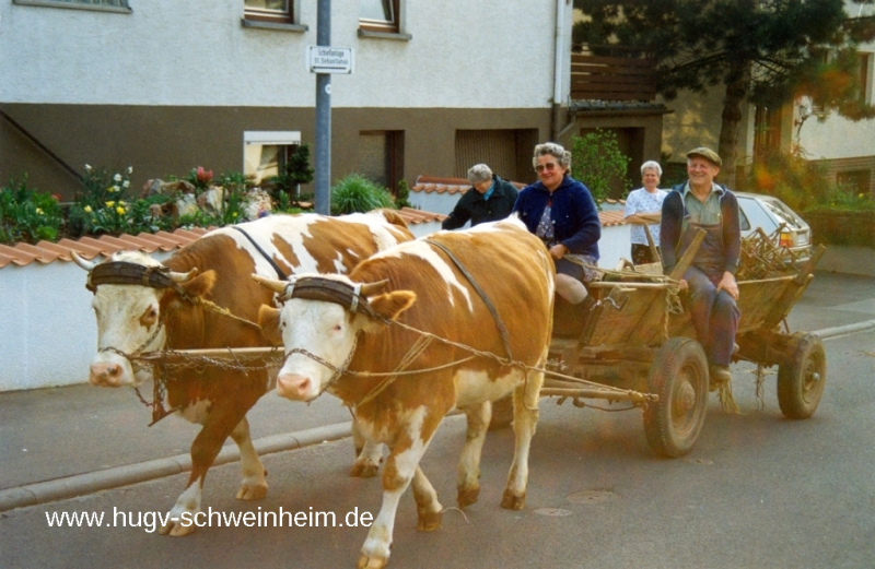 Vorbeck Ebersbacher Str mit Frau und Kühfuhrwerk 1992