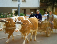 Vorbeck Ebersbacher Str mit Frau und Kühfuhrwerk 1992