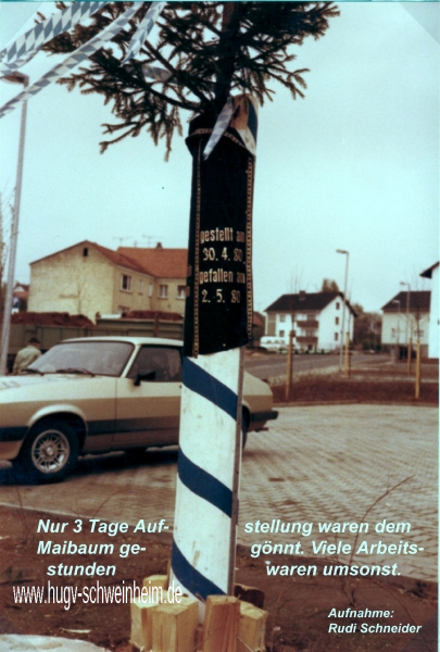 Maibaumaufstellung 1980 (2)