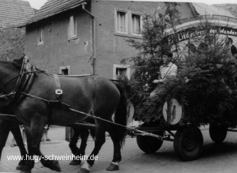 Festzug Schweinheim Marienstr